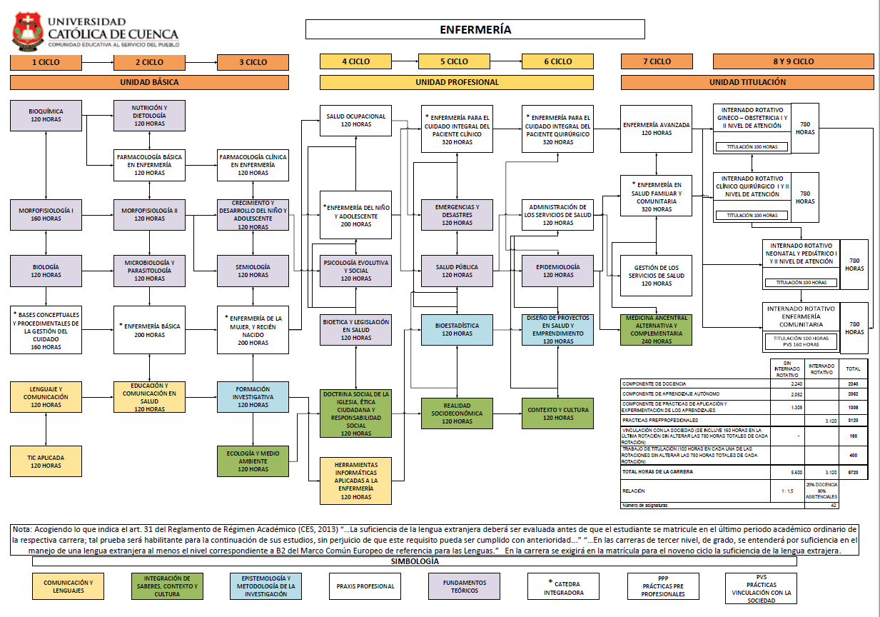 Malla Enfermeria Universidad Catolica De Cuenca