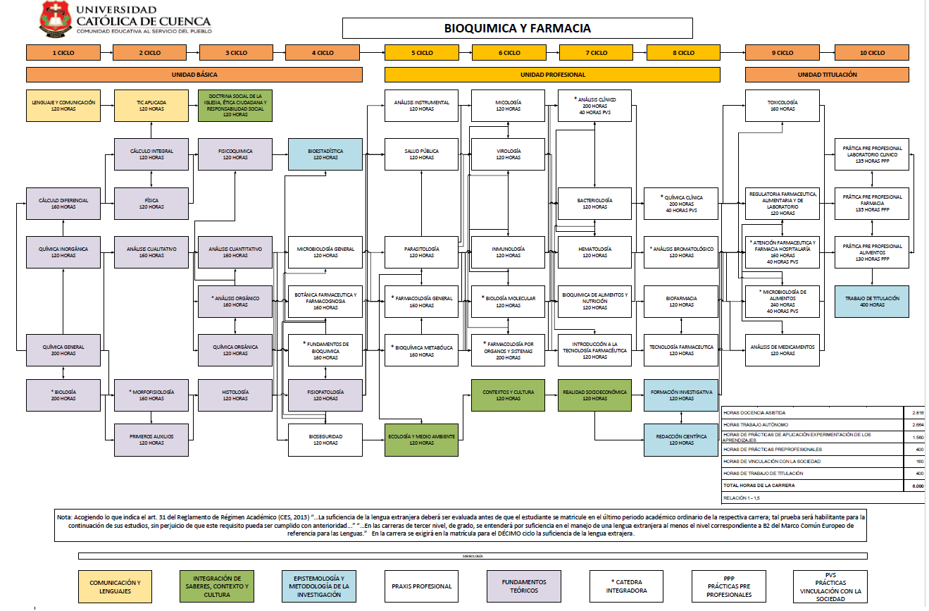 Malla Curricular Universidad Catolica De Cuenca