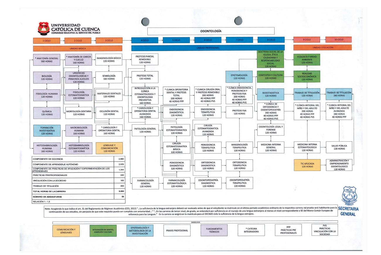 Carrera De Odontologia Universidad Catolica De Cuenca