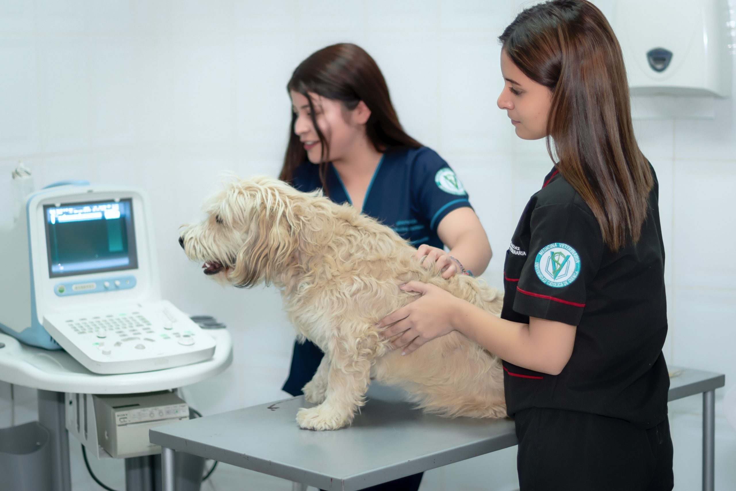 tecnologia_veterinaria