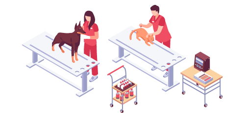 medicina_veterinaria