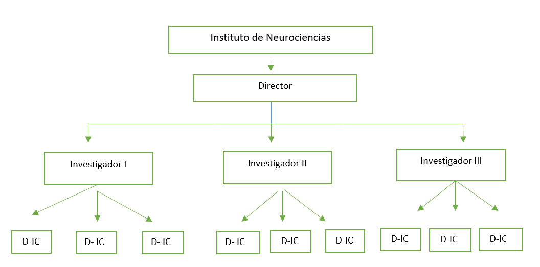estrutura de neurociencia estrutura de neurociencia