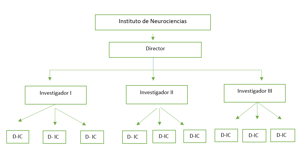 estrutura de neurociencia