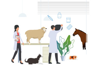 Carrera de Medicina Veterinaria - Universidad Católica de Cuenca