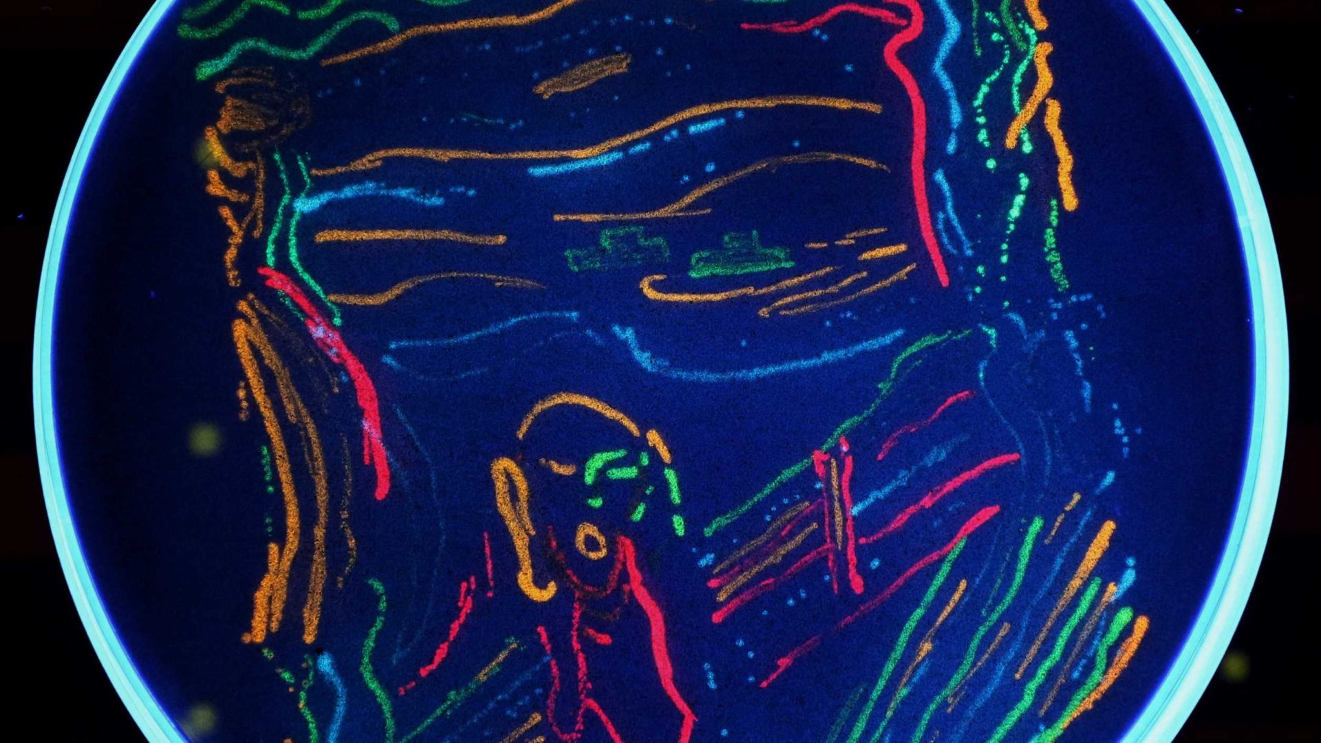 Jóvenes aprenden a crear arte con Universidad