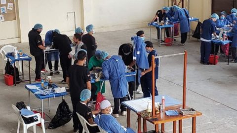 Campaña de Esterilización de Caninos en la parroquia Chiquintad de la Ciudad de Cuenca