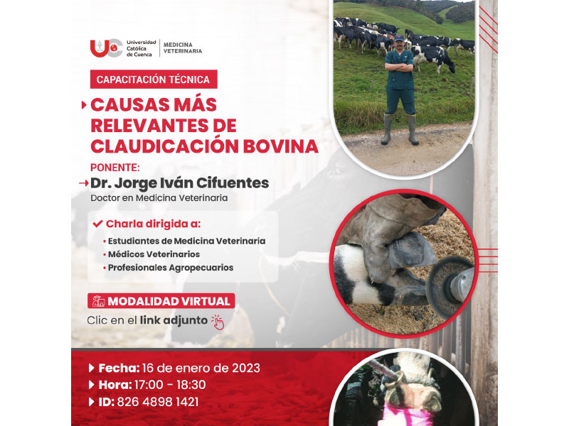 noticia-2